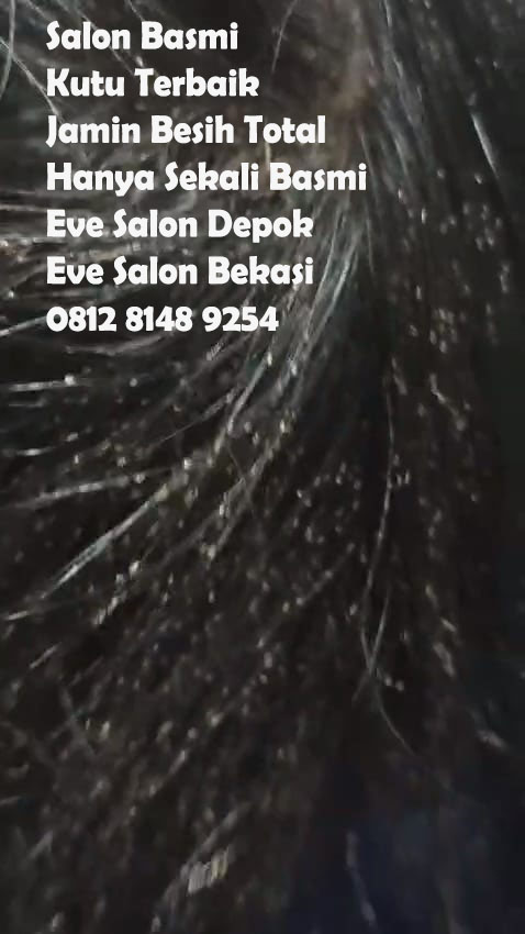rekomendasi salon kutu di cimanggis depok murah bagus