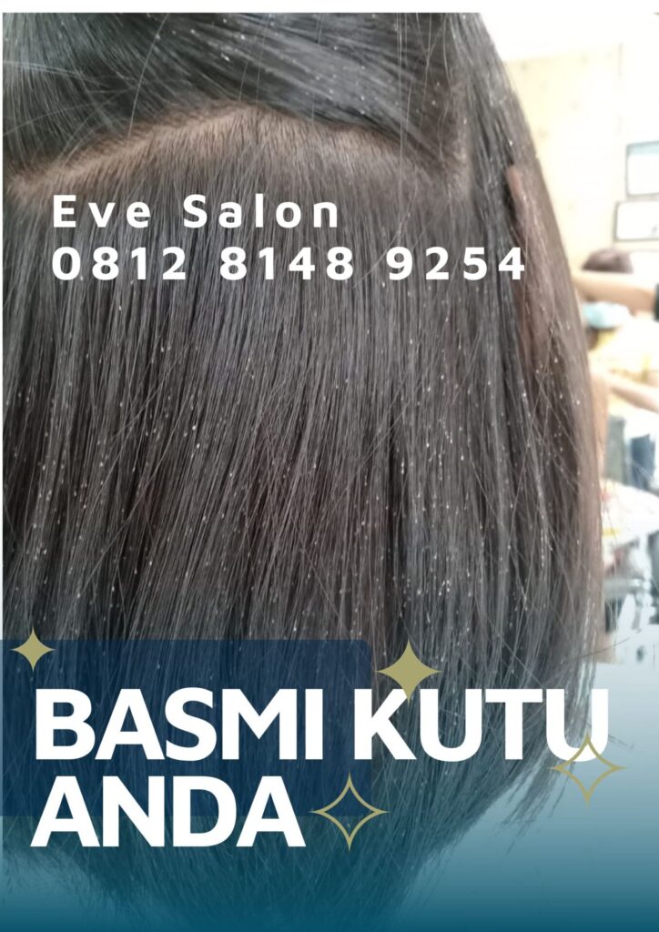Salon Basmi Kutu Cinere Depok
