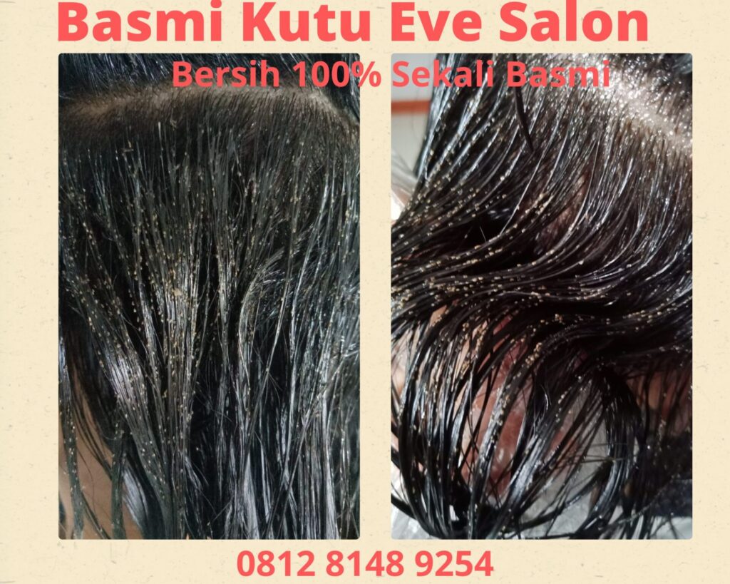 Salon Kutu Cisalak