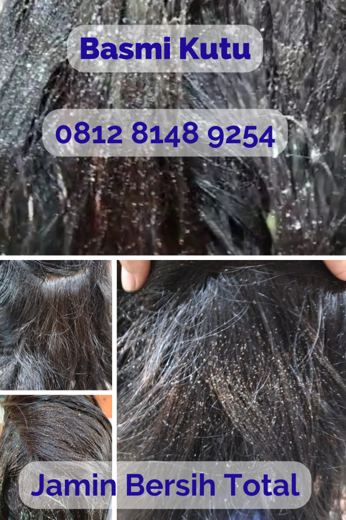 Salon Kutu Di Lippo Mall Cimanggis Square