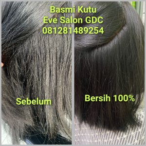 Salon Basmi Kutu di Citereup Bogor Murah Bagus