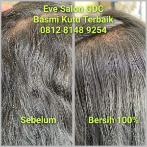 Salon Basmi Kutu di Citereup Bogor Murah Bagus