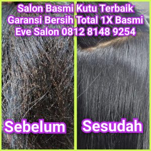 Salon kutu tapos murah bagus