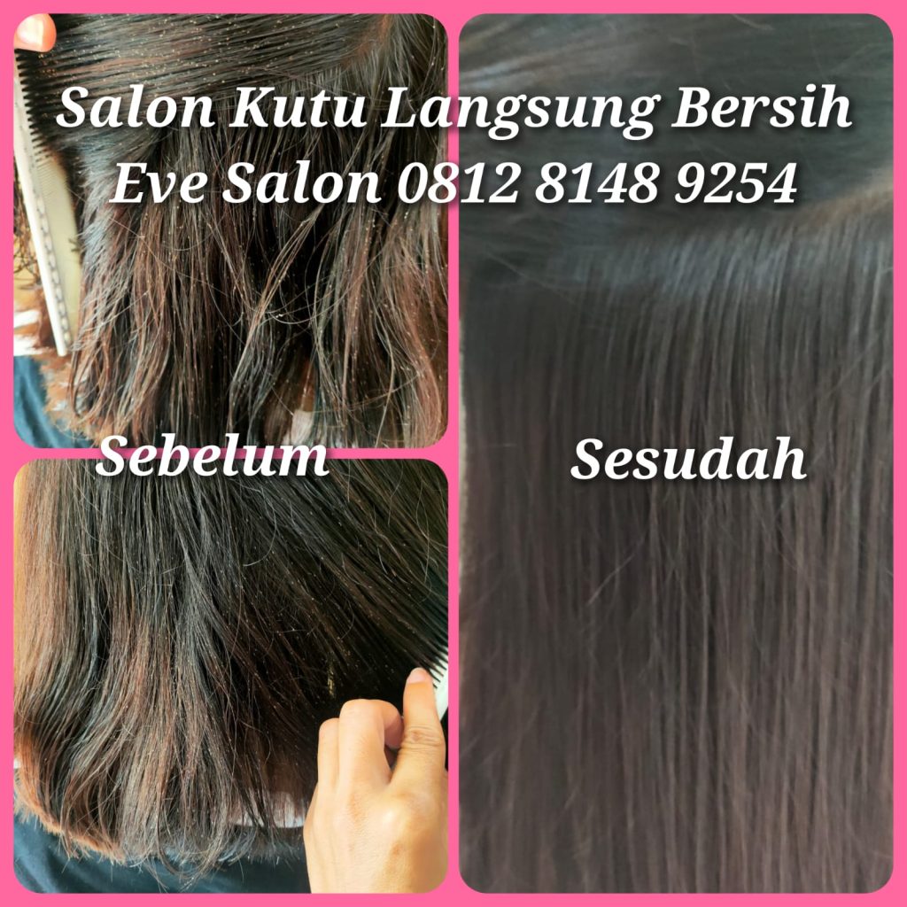 Hasil before after membersihkan kutu anak anak di salon ciracas jakarta timur