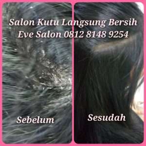 salon kutu pasar minggu langsung bersih total