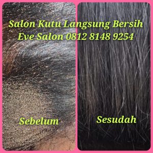 Salon kutu jagakarsa jakarta selatan hasil langsung bersih